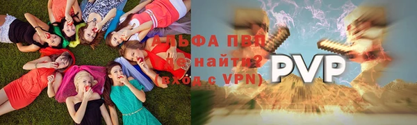 эйфоретик Гусев