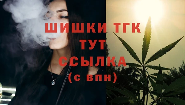 метадон Гусь-Хрустальный