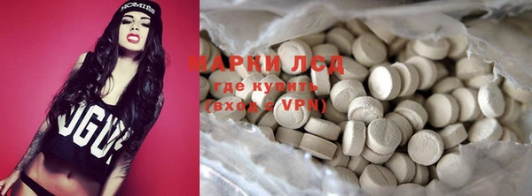 прущие грибы Дмитриев