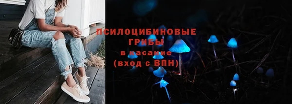 эйфоретик Гусев