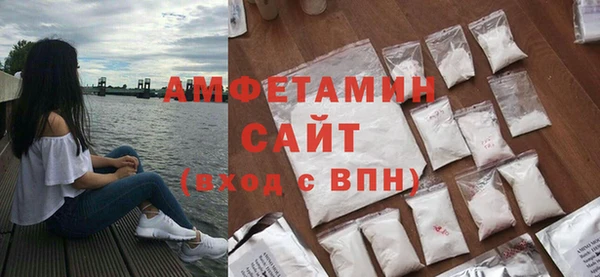 прущие грибы Дмитриев