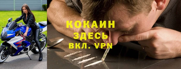 гашик Михайловка