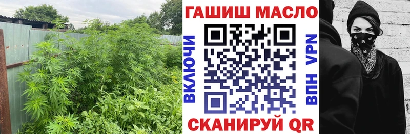 Дистиллят ТГК концентрат  Исилькуль 