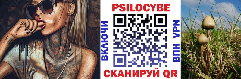 ссылка на мегу ссылка  Исилькуль  darknet наркотические препараты  Псилоцибиновые грибы Psilocybine cubensis 